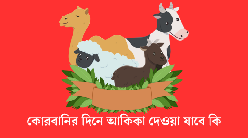 কোরবানির দিনে আকিকা দেওয়া যাবে কি
